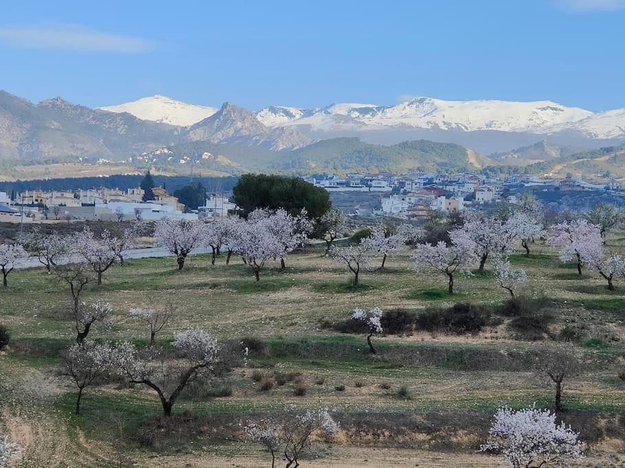 Villa Terracota, Lujo En Granada Y Sierra Nevada Buitenkant foto
